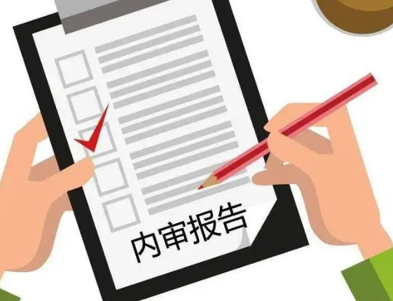 政府审计大数据分析平台解决方案？