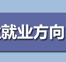 数据科学与大数据技术就业方向?