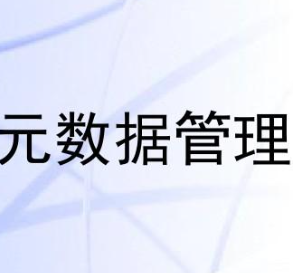 为什么要进行元数据管理？