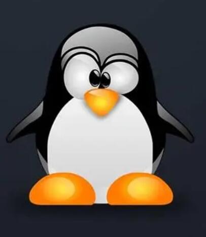 Linux中execl函数详解与日常应用!