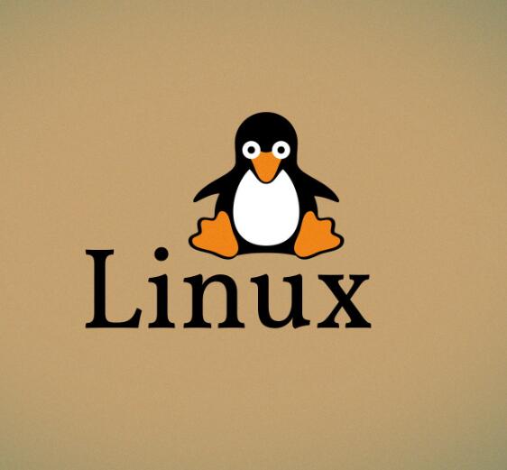 linux动态路由有哪些?