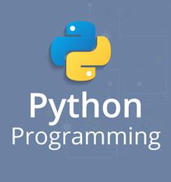 零基础编程小白，如何快速高效学习Python