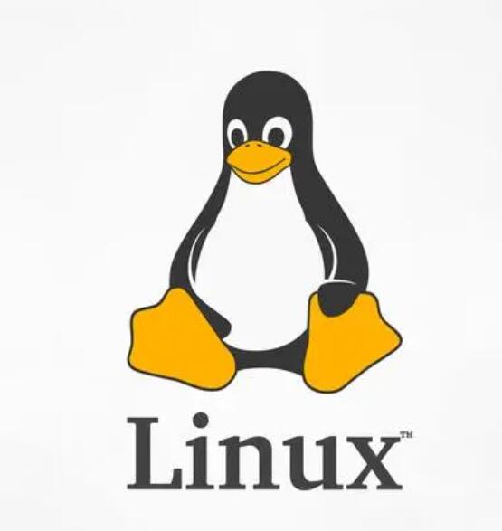 Linux中execl函数详解与日常应用