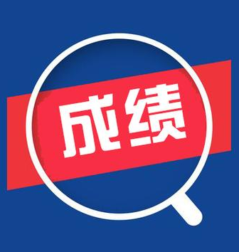 学生成绩自动统计分析软件