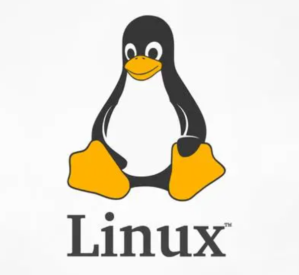 Linux中必知必会的mount命令